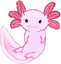 axolotl